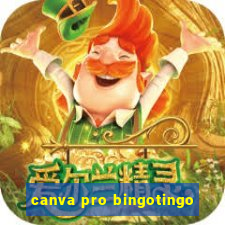 canva pro bingotingo